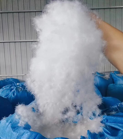 白鹅吊绒