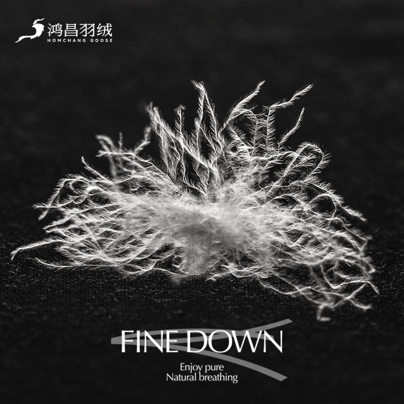 FINEDOWN臻品羽绒