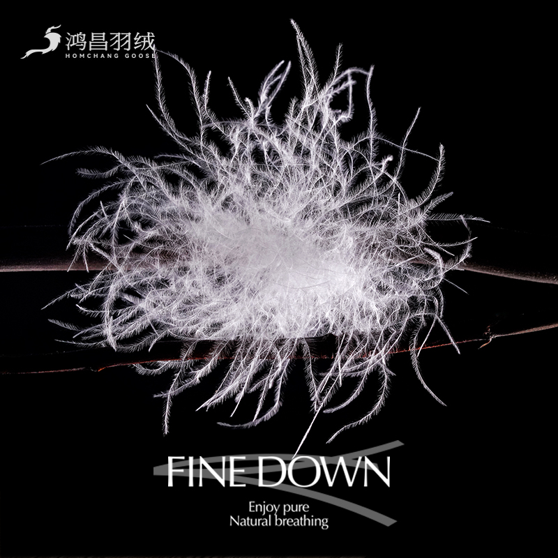 FINEDOWN臻品羽绒