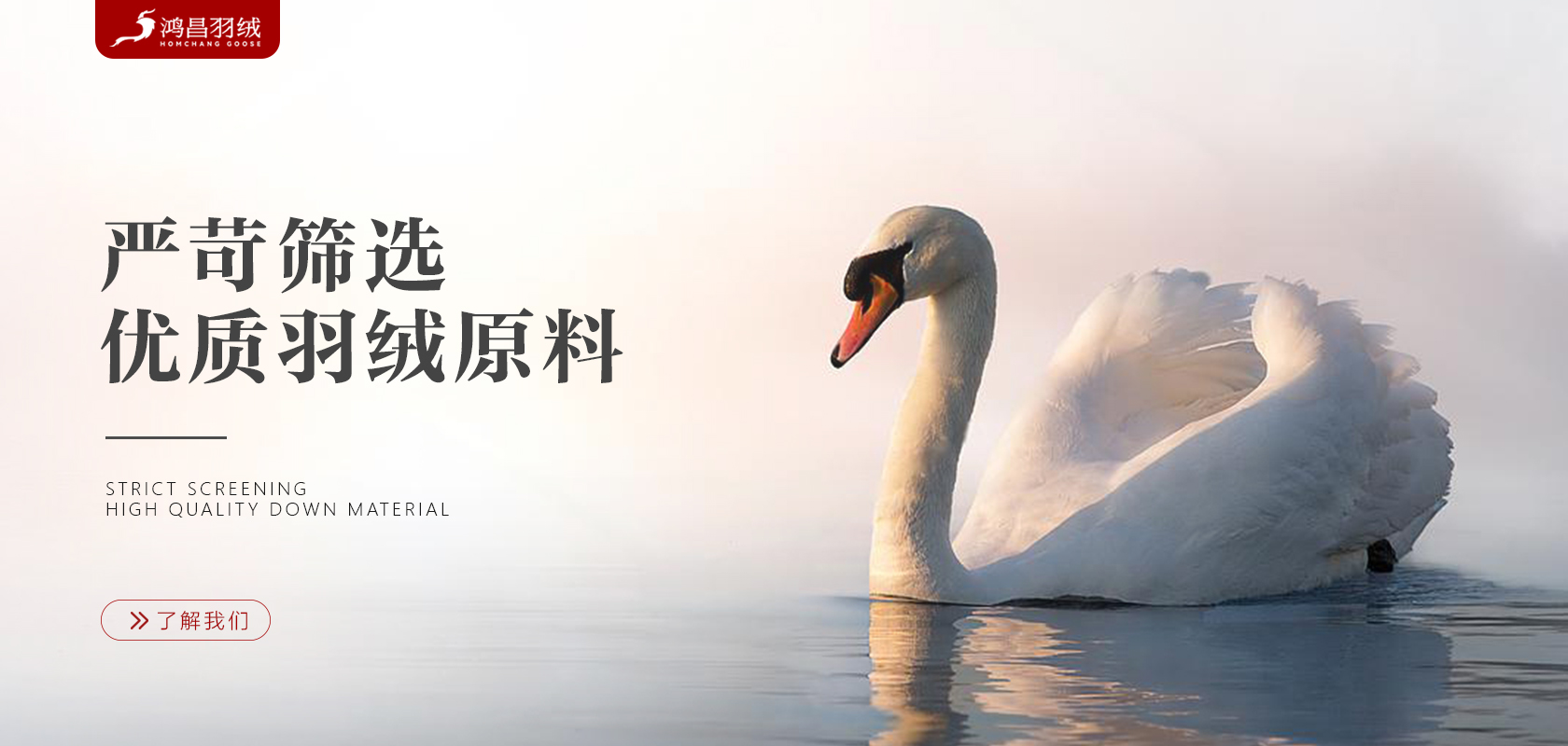 首页轮播图1