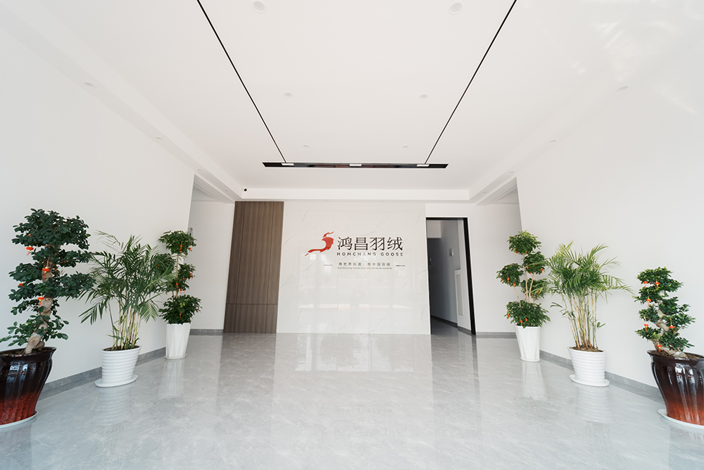 公司展示